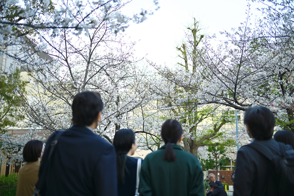 お花見＆食事会を開催しました🌸
